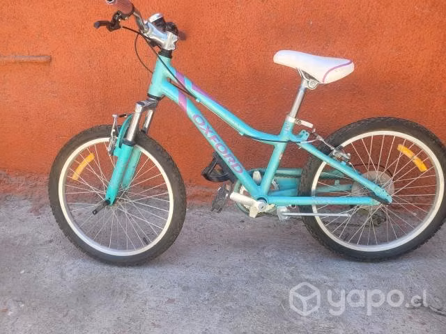 Mountain Bike aro 20