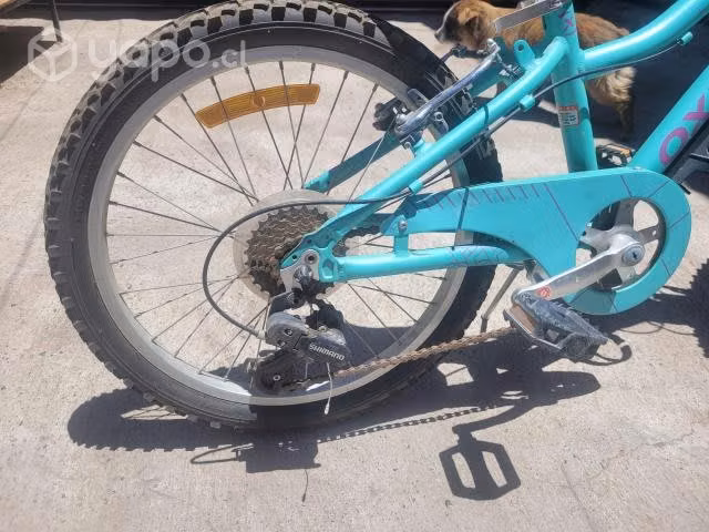 Mountain Bike aro 20