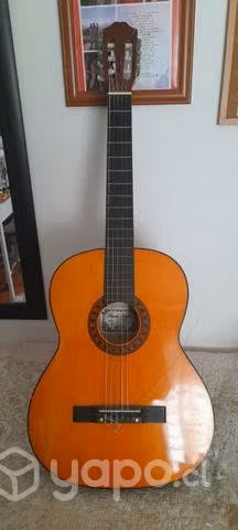 Guitarra Pearl River