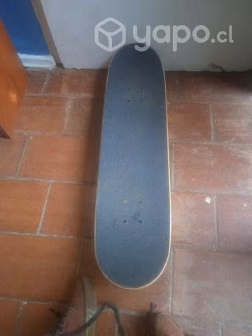 Skate santa cruz