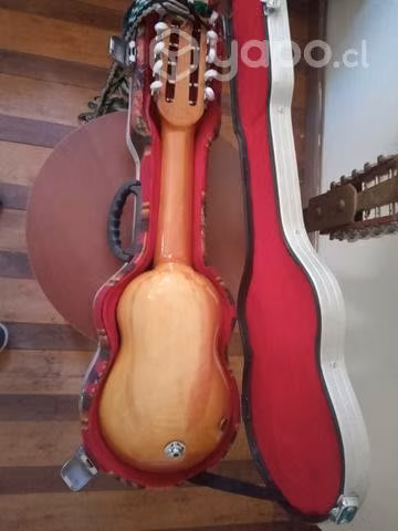 Charango motivos mapuche