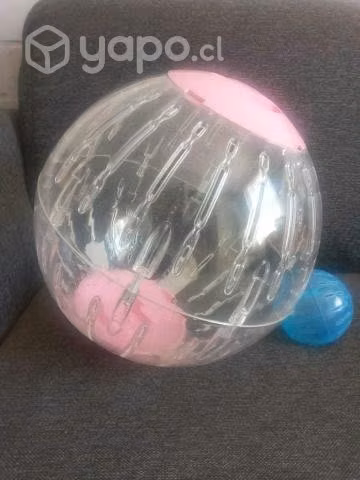 Jaula transporte para gato - Imagen 3