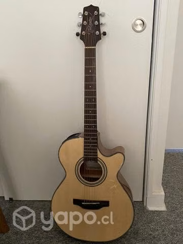 Guitarra Takamine G Series