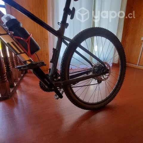 Marlin 5 2021