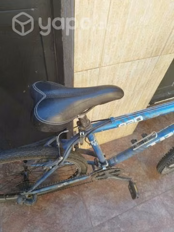 Bicicleta Trex