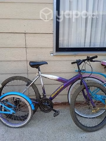 Bicicleta