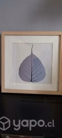 Accesorios y Decoración para Tu Casa