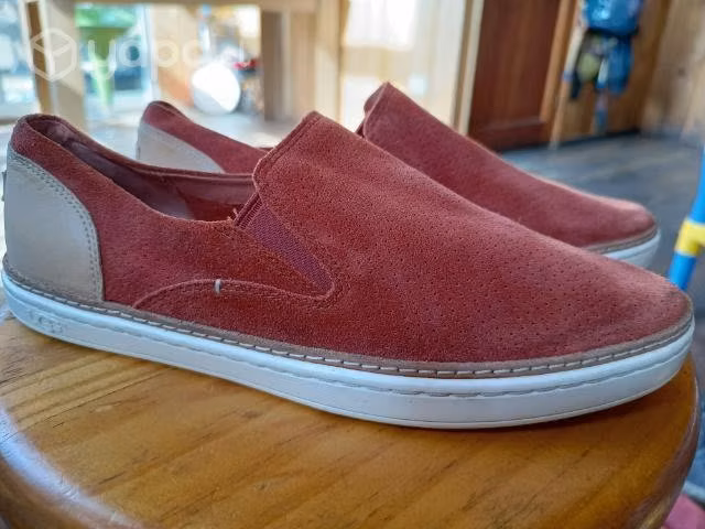 Ugg nuevas
