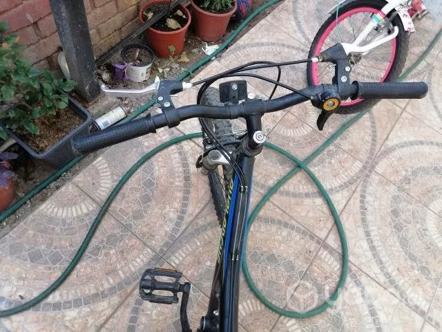 Bicicleta
