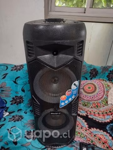 Parlante Master G Rokr Tws