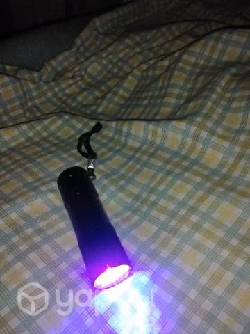 Linternas ultravioletas
