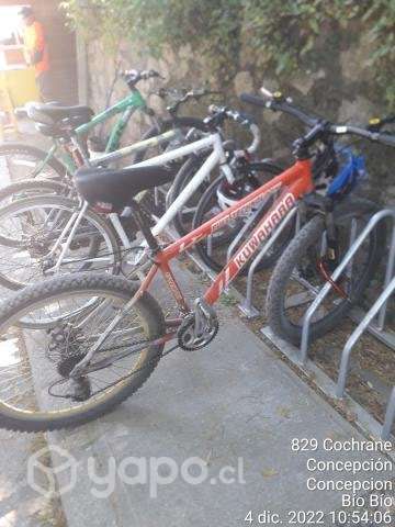 Bicicleta Descenso - Imagen 3