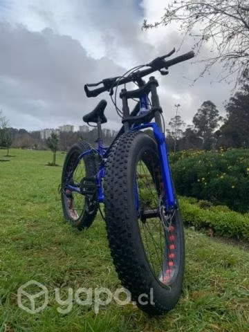 Bicicleta