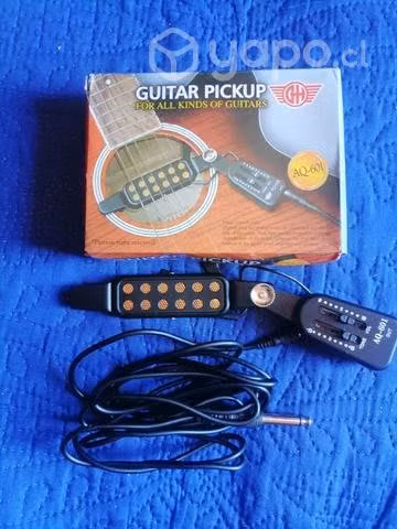 Capsula de guitarra acustica