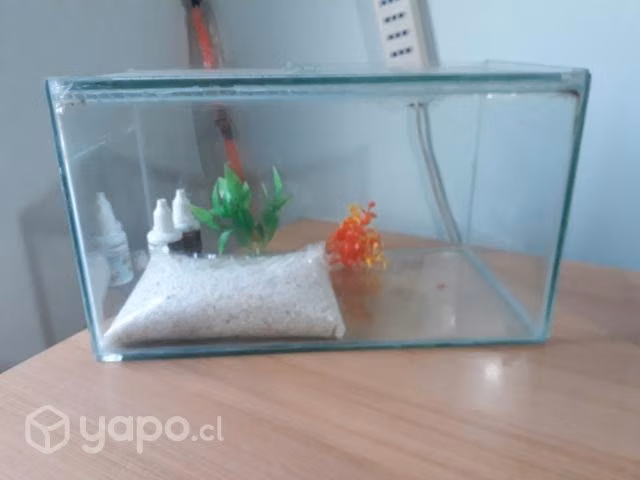 Acuario 12 litros