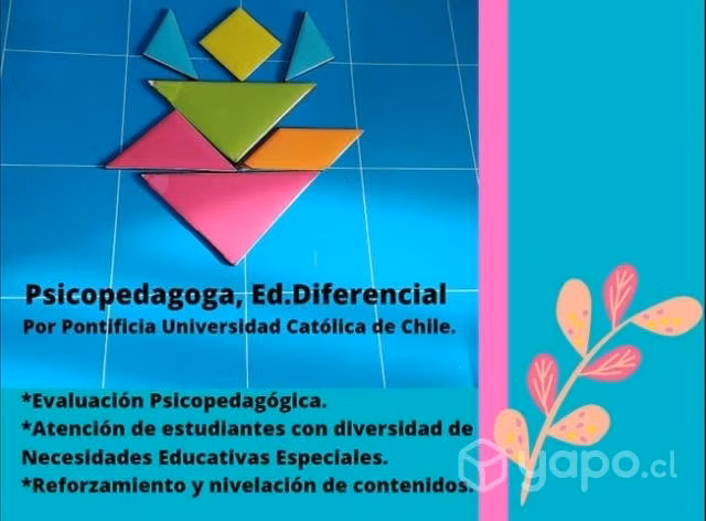 Psicopedagoga y Ed.Dif.(Pontificia U.Católica)