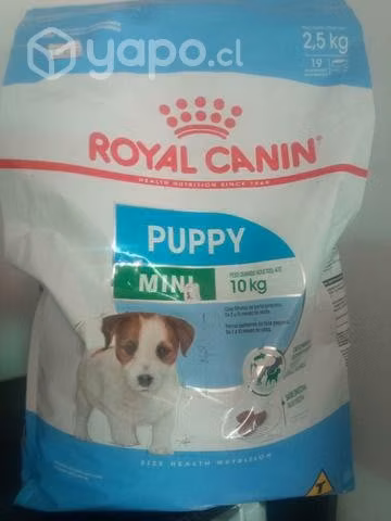 Royal canin puppy 10 kilos