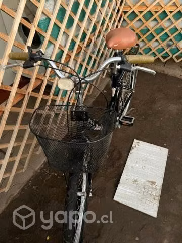 Bicicleta Bianchi Italiana Original - Imagen 6
