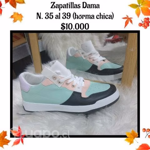Zapatillas Dama Color
