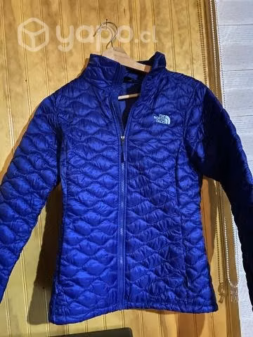 Chaqueta the north face