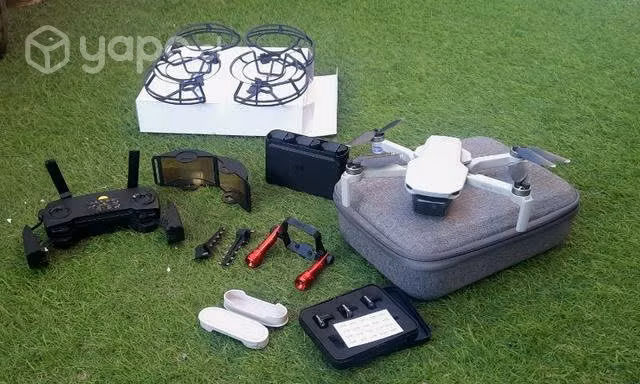 Mavic mini