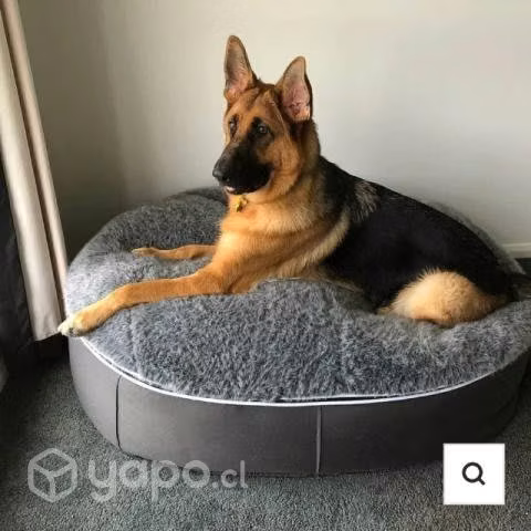 Cama para perro PetLounge