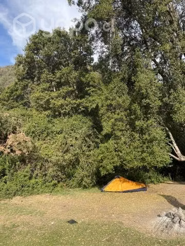 Carpa doite
