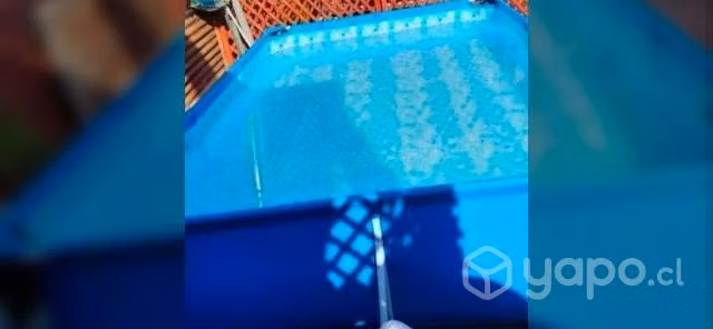 piscina grande - Imagen 2