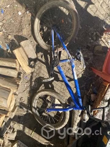Bmx