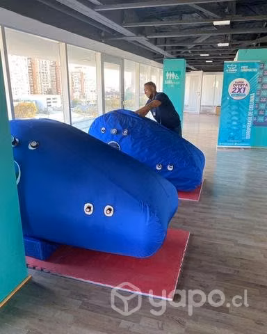 Cámara hiperbarica - Imagen 4