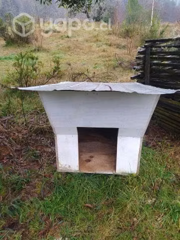 Casa de perro grande