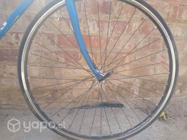 Bicicleta Bianchi, restaurada