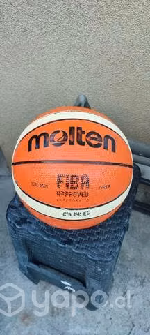 Aro y balón de basquetbol