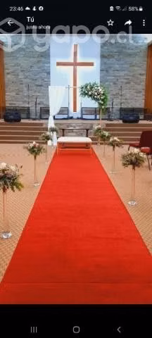 Alfombra Roja para eventos