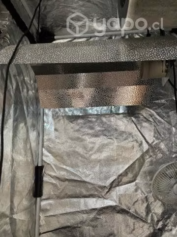 Kit indor 400w 160x80x80cm