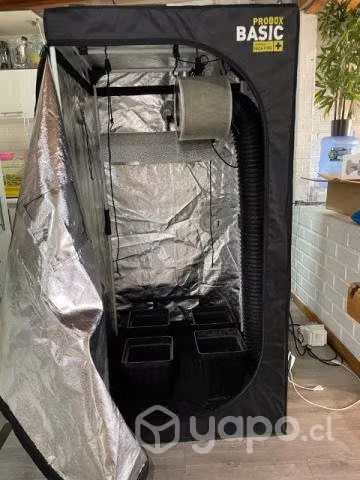 Kit indor 400w 160x80x80cm