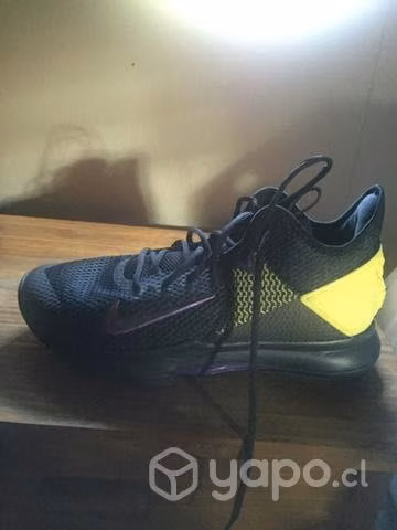 Nuevas Zapatillas Lebron Witnnes IV