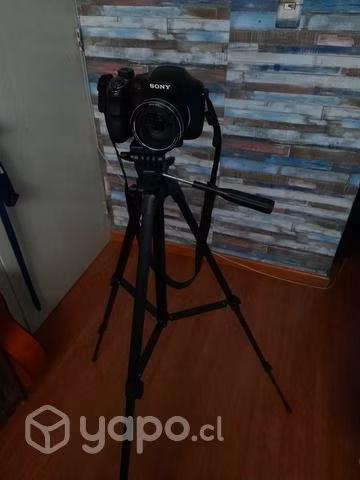 Cámara Sony