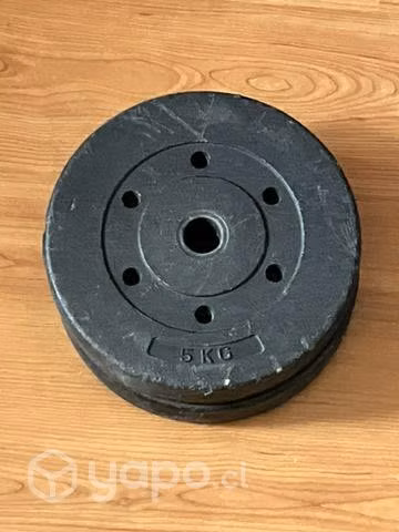 2 discos 5kg c/u