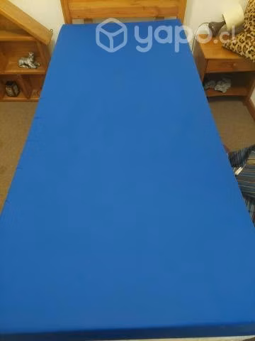Cama