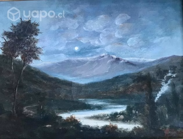 Cuadros Originales , Artista , Hugo Zapata