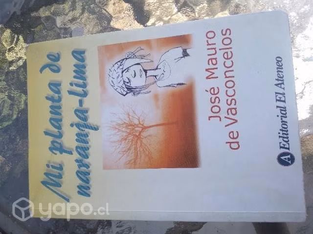 MI Planta de naranja - lima