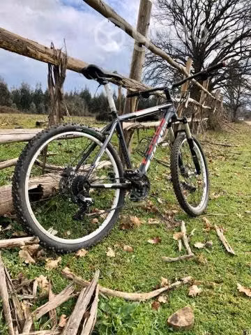 Bicicleta Focus Germany