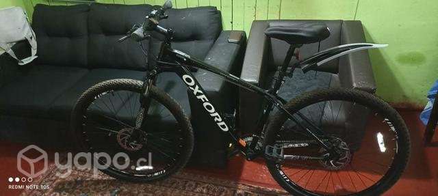 Oxford merak1 - Imagen 4
