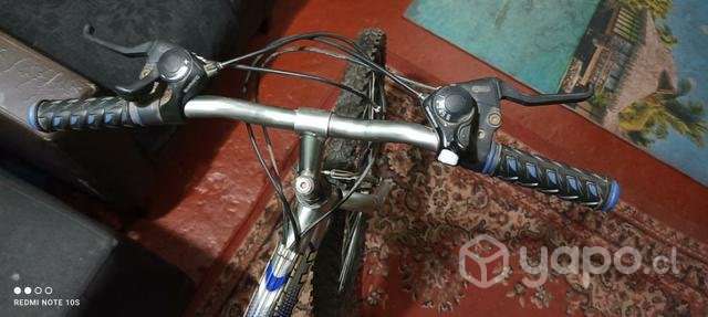 Bianchi aro 26 - Imagen 3