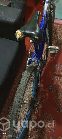 Bianchi aro 26 - Imagen 4