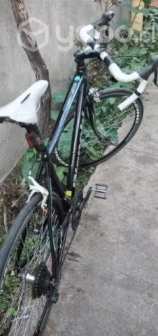 Rutera Bianchi Corsa - Imagen 5