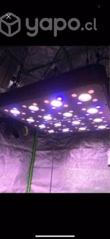 Luz evolution 4 pro ideal para cultivo