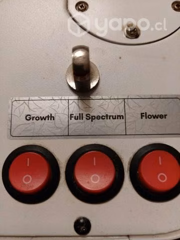 Apollo evolution 4