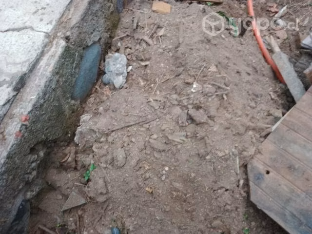 Tierra de hoja